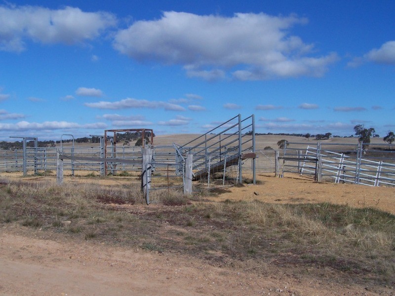 86 Greywoodsiding Road, Woodhouselee NSW 2580