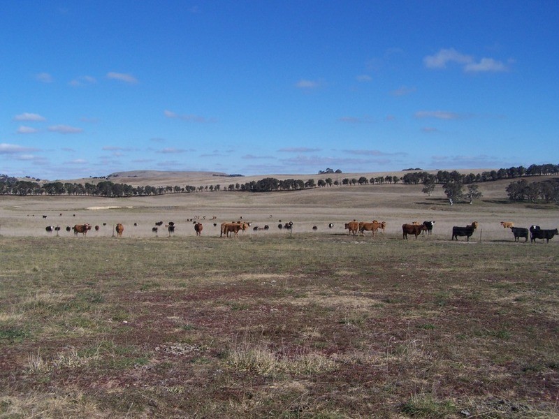 86 Greywoodsiding Road, Woodhouselee NSW 2580