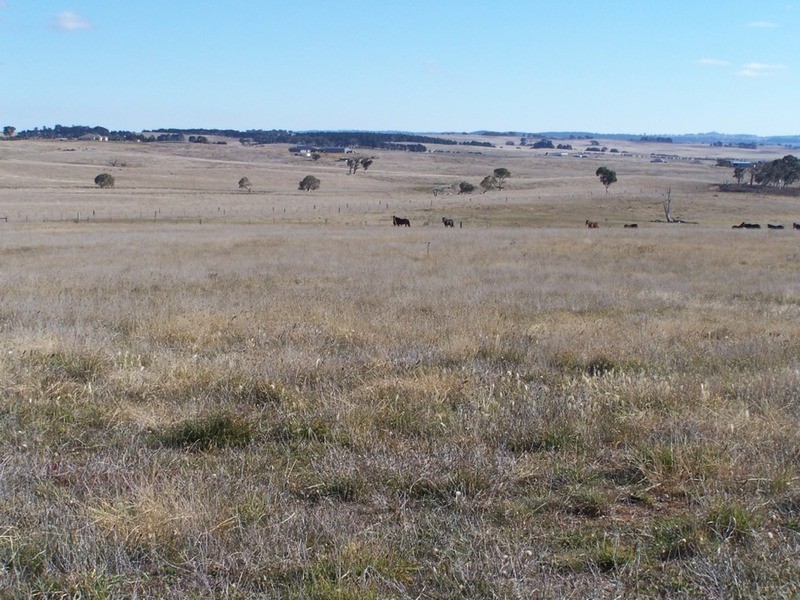 86 Greywoodsiding Road, Woodhouselee NSW 2580