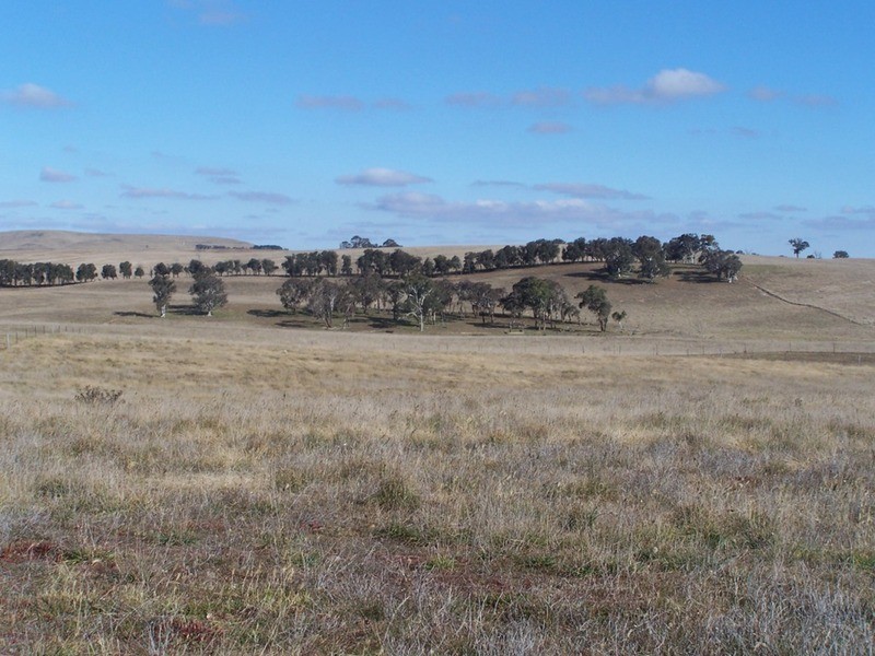 86 Greywoodsiding Road, Woodhouselee NSW 2580