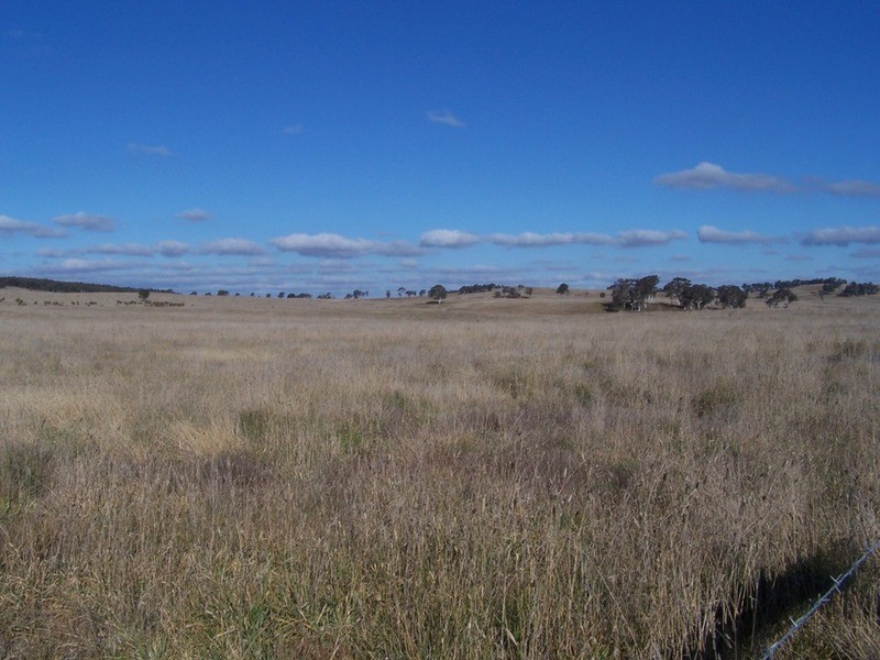 86 Greywoodsiding Road, Woodhouselee NSW 2580