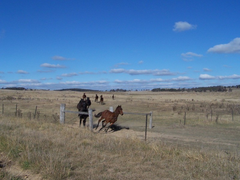 86 Greywoodsiding Road, Woodhouselee NSW 2580