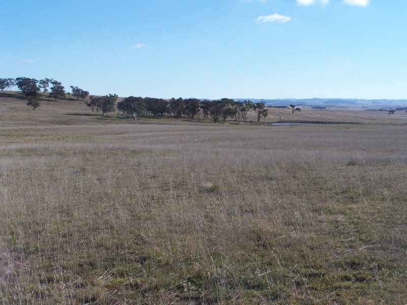 86 Greywoodsiding Road, Woodhouselee NSW 2580