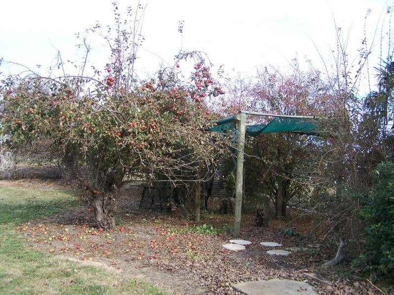 “Badgers Holt” 298 Windellama Road, Goulburn NSW 2580