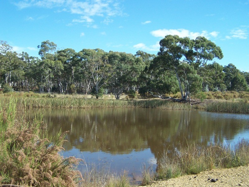 “Frog Hollow”   226 Winfarthing Road, Marulan NSW 2579