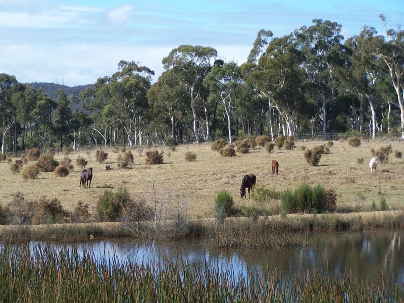 “Frog Hollow”   226 Winfarthing Road, Marulan NSW 2579