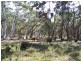 “Frog Hollow”   226 Winfarthing Road, Marulan NSW 2579