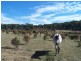 “Frog Hollow”   226 Winfarthing Road, Marulan NSW 2579