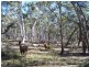 “Frog Hollow”   226 Winfarthing Road, Marulan NSW 2579