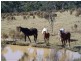 “Frog Hollow”   226 Winfarthing Road, Marulan NSW 2579