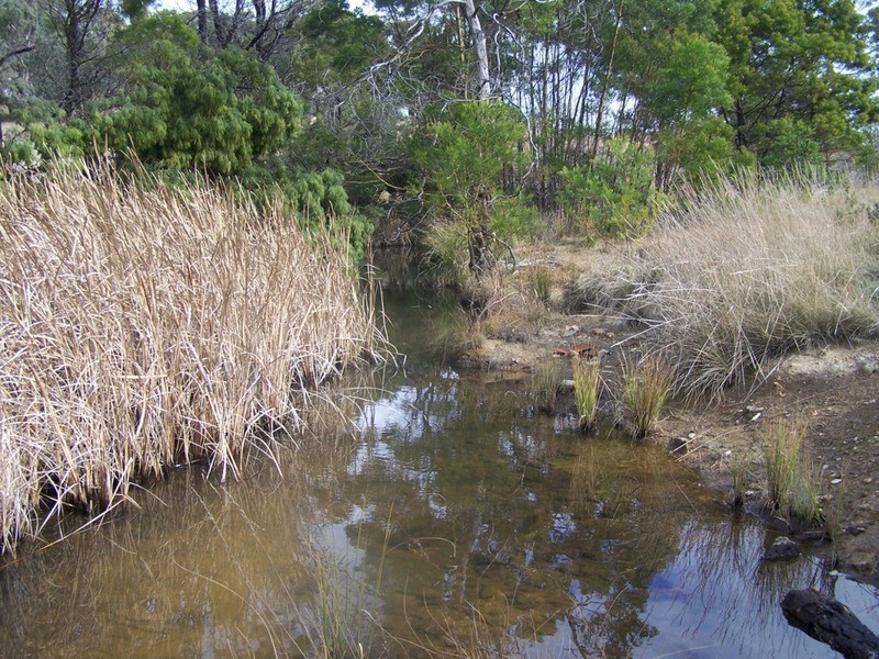 189 McGaws Road, Windellama NSW 2580