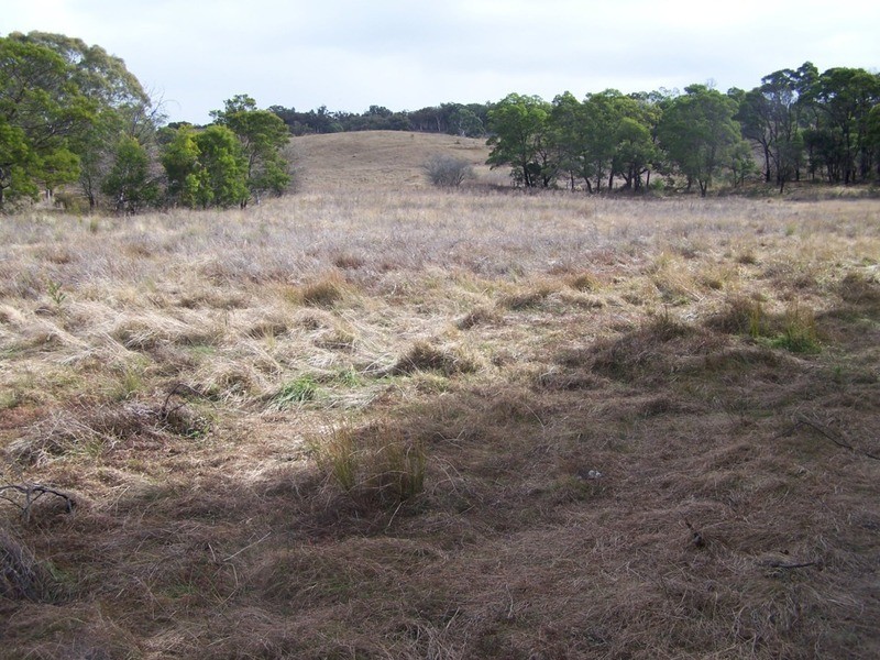 189 McGaws Road, Windellama NSW 2580