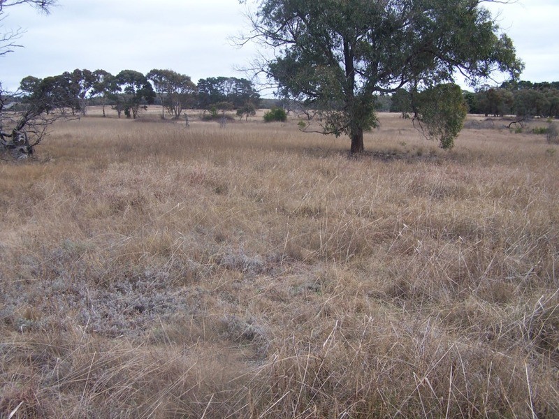 189 McGaws Road, Windellama NSW 2580