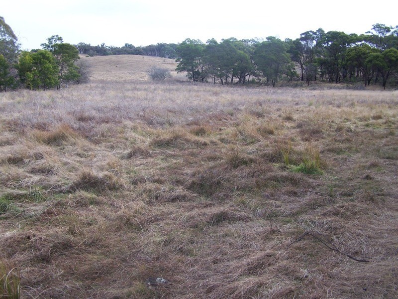 189 McGaws Road, Windellama NSW 2580