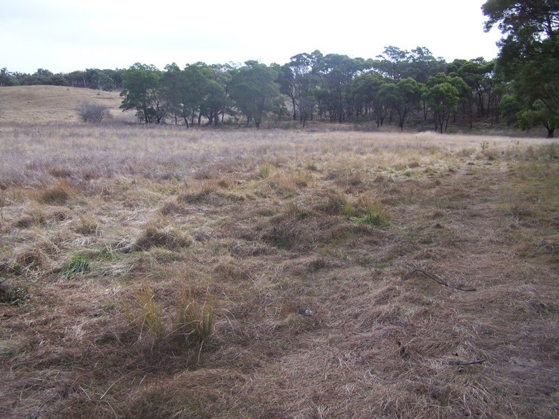 189 McGaws Road, Windellama NSW 2580