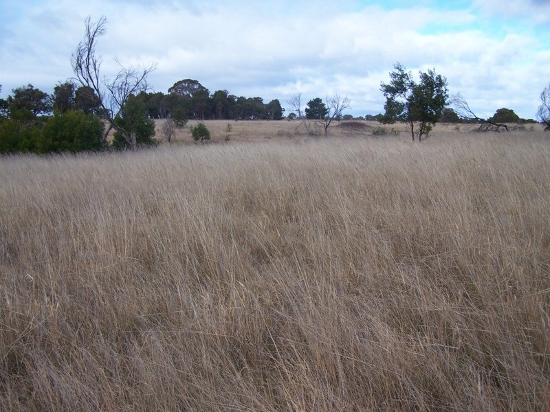 189 McGaws Road, Windellama NSW 2580