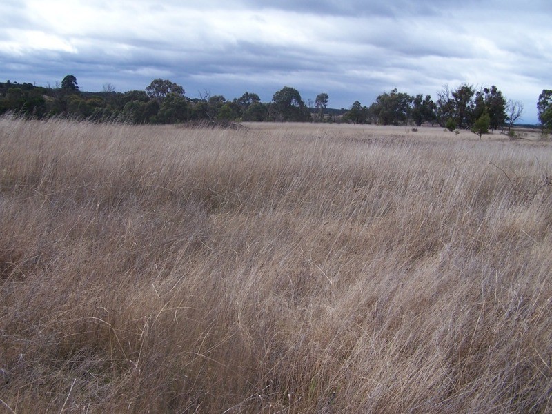 189 McGaws Road, Windellama NSW 2580