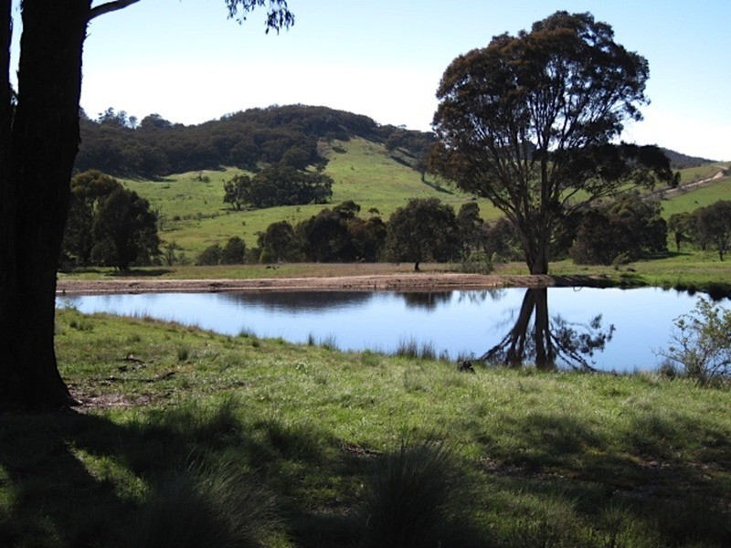 615 Bridge Creek Road, Binda NSW 2583