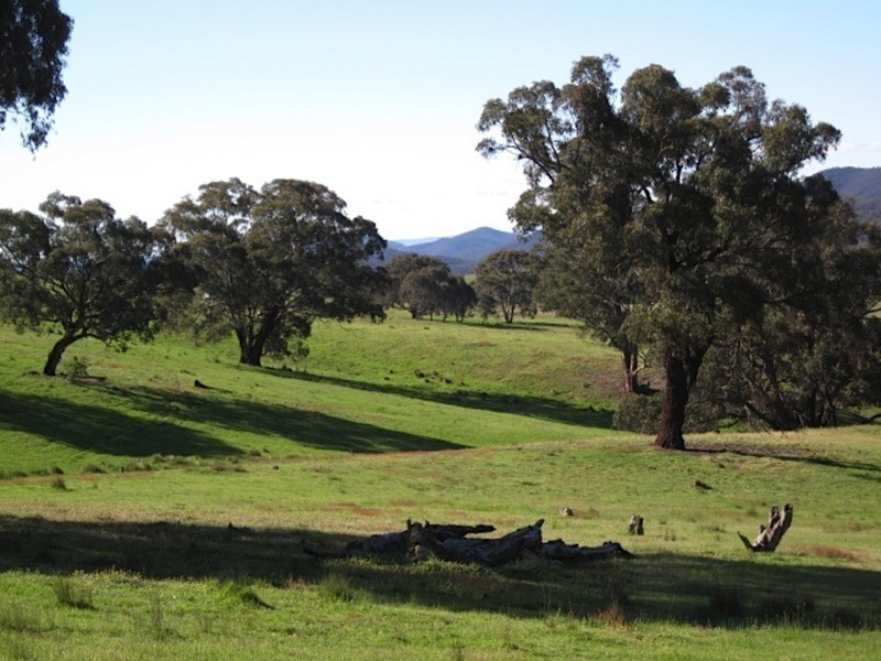 615 Bridge Creek Road, Binda NSW 2583