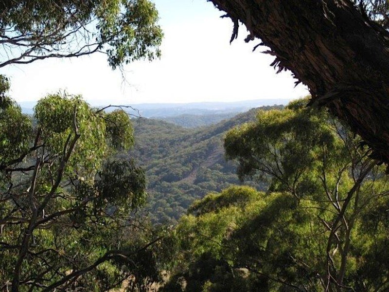 615 Bridge Creek Road, Binda NSW 2583