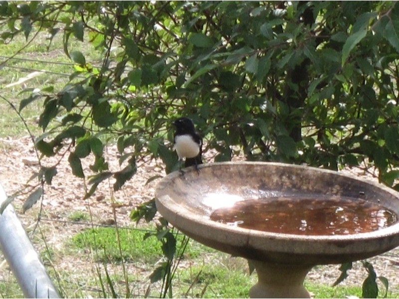 615 Bridge Creek Road, Binda NSW 2583