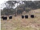 28 Lost River Road, Wheeo NSW 2583