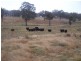 28 Lost River Road, Wheeo NSW 2583