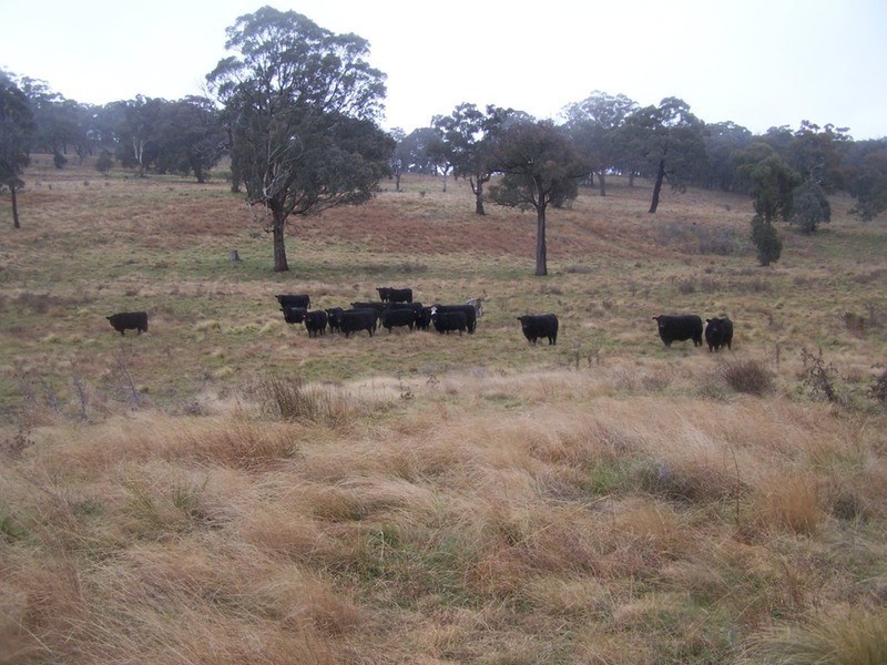 28 Lost River Road, Wheeo NSW 2583