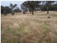 28 Lost River Road, Wheeo NSW 2583