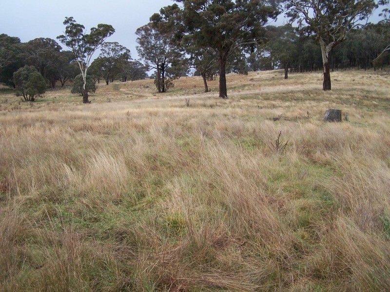 28 Lost River Road, Wheeo NSW 2583