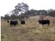 28 Lost River Road, Wheeo NSW 2583