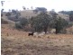 28 Lost River Road, Wheeo NSW 2583