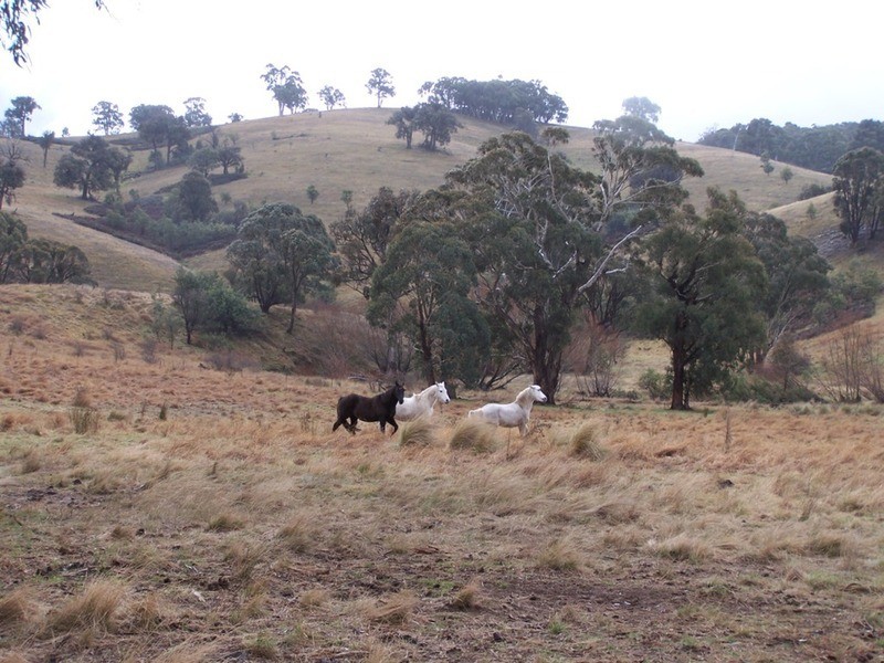 28 Lost River Road, Wheeo NSW 2583