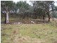 28 Lost River Road, Wheeo NSW 2583