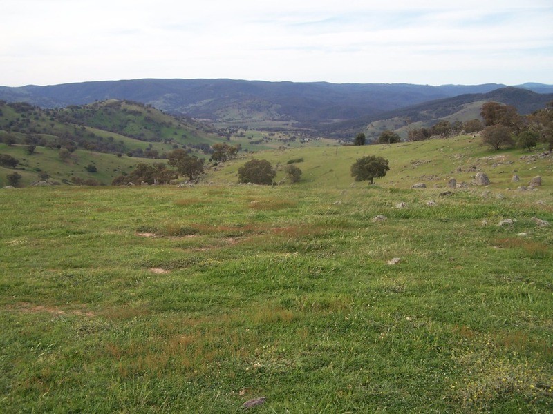 “THE DECCA” 168 Decca Road, Bigga NSW 2583