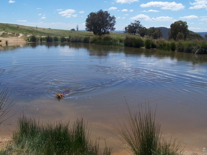 “THE DECCA” 168 Decca Road, Bigga NSW 2583