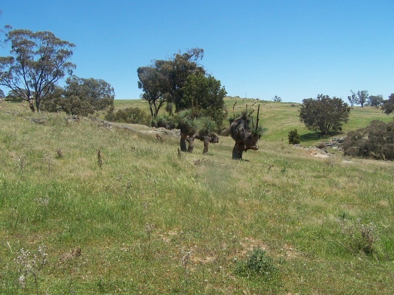 “THE DECCA” 168 Decca Road, Bigga NSW 2583