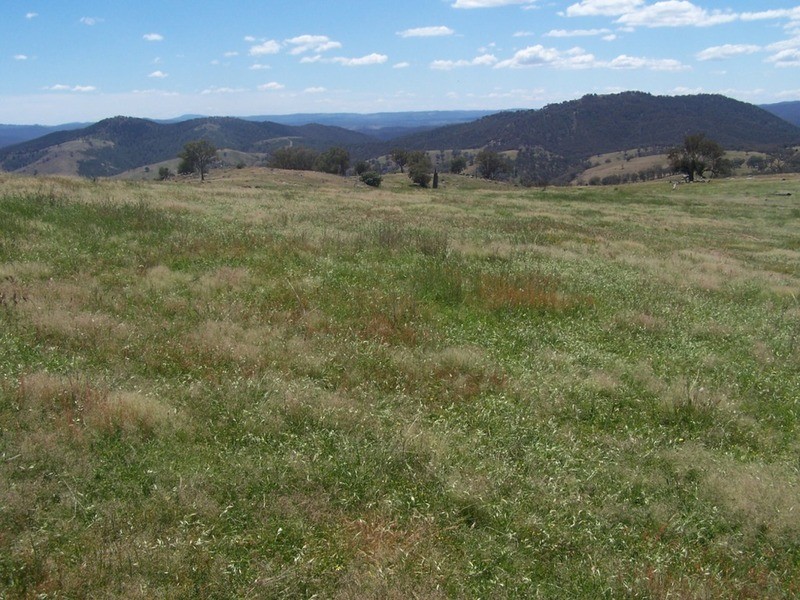 “THE DECCA” 168 Decca Road, Bigga NSW 2583