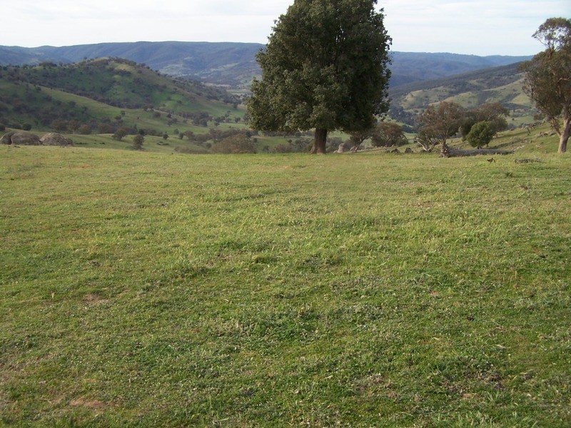 “THE DECCA” 168 Decca Road, Bigga NSW 2583