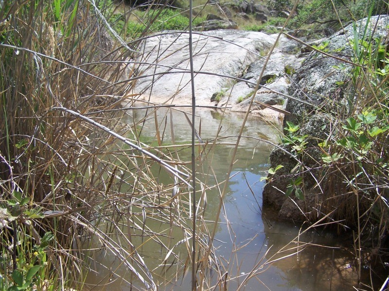 “THE DECCA” 168 Decca Road, Bigga NSW 2583