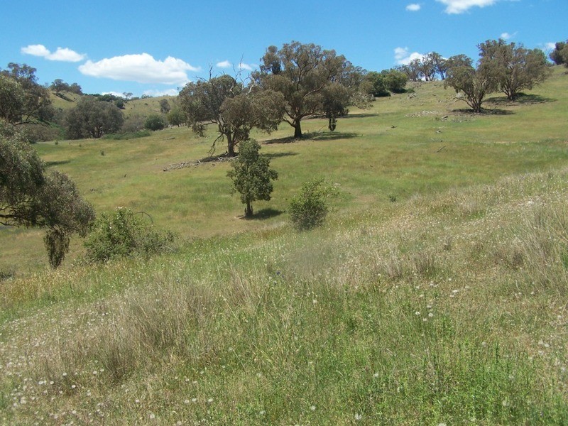 “THE DECCA” 168 Decca Road, Bigga NSW 2583