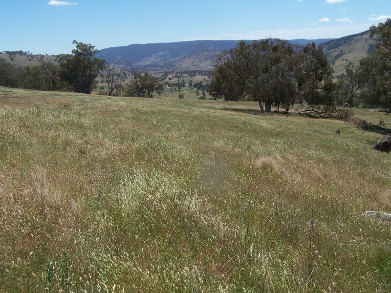 “THE DECCA” 168 Decca Road, Bigga NSW 2583