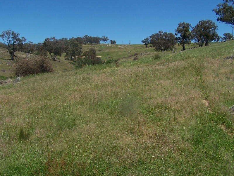 “THE DECCA” 168 Decca Road, Bigga NSW 2583