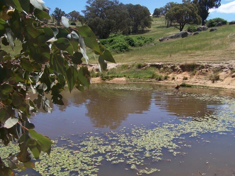 “THE DECCA” 168 Decca Road, Bigga NSW 2583