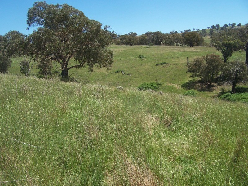 “THE DECCA” 168 Decca Road, Bigga NSW 2583