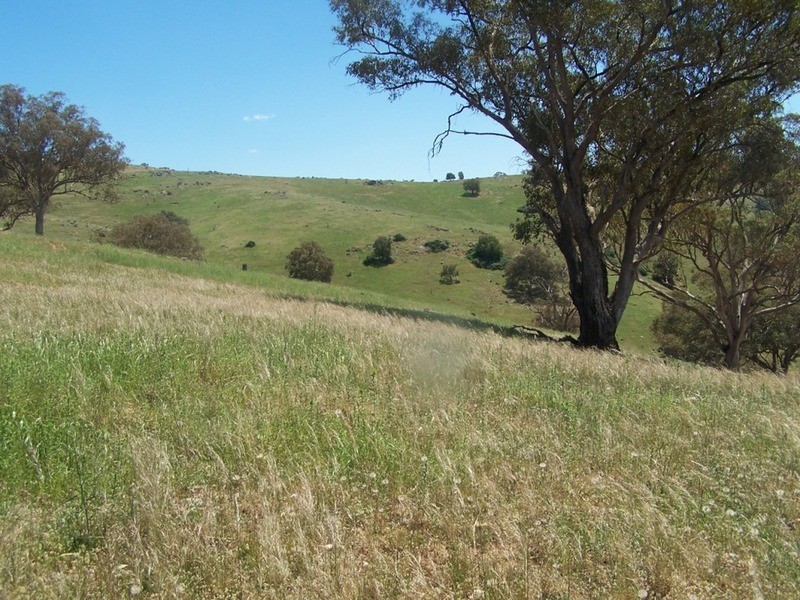 “THE DECCA” 168 Decca Road, Bigga NSW 2583