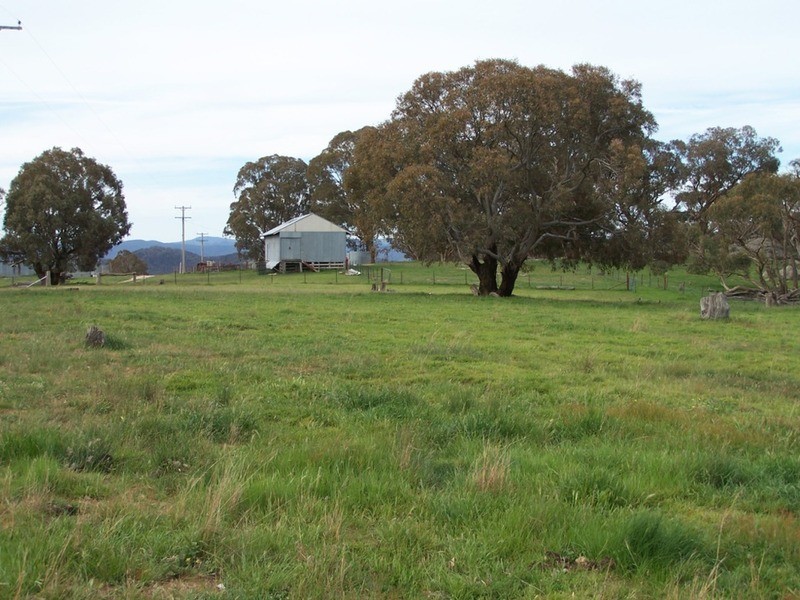 “THE DECCA” 168 Decca Road, Bigga NSW 2583