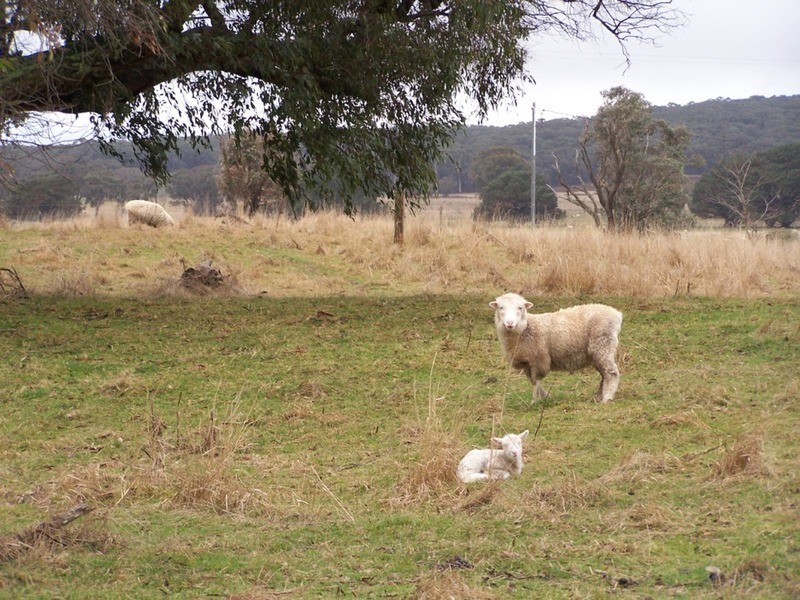 3943 Range Road, Grabben Gullen NSW 2583