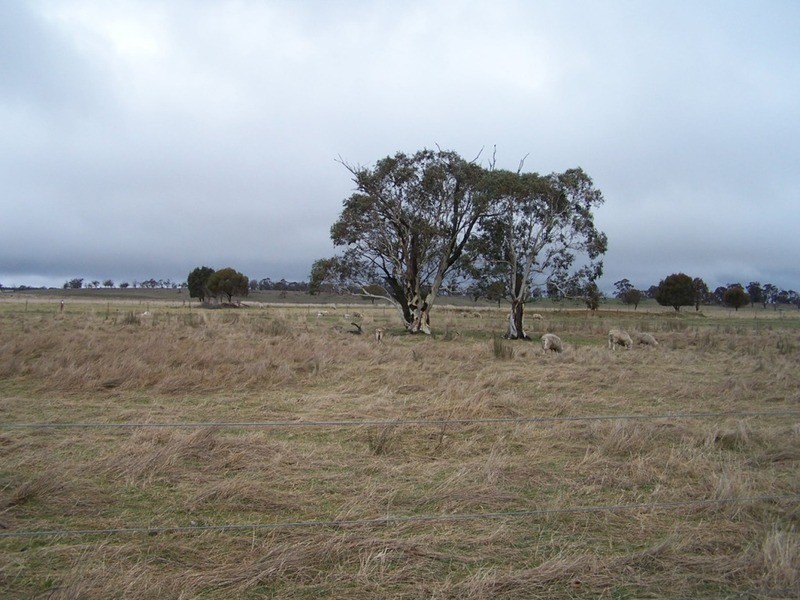 3943 Range Road, Grabben Gullen NSW 2583