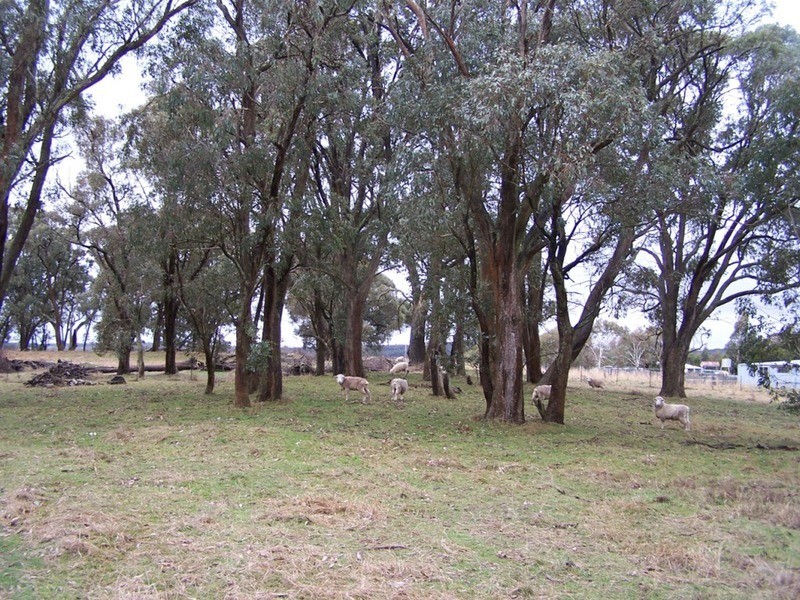 3943 Range Road, Grabben Gullen NSW 2583